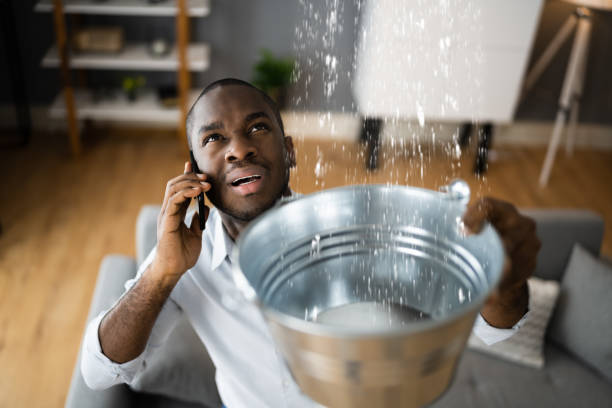 Best Water damage contractors near me  in Lake Marcel Stillter, WA