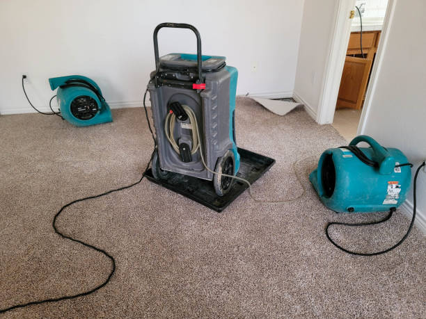 Carpet water damage restoration in Lake Marcel Stillwater, WA
