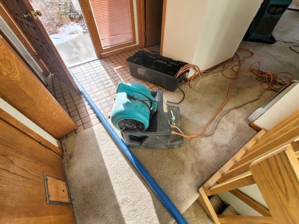 Best Flood damage cleanup  in Lake Marcel Stillter, WA