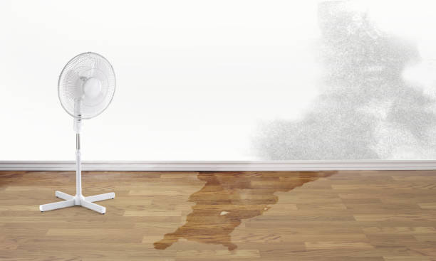 Local water damage restoration in Lake Marcel Stillwater, WA