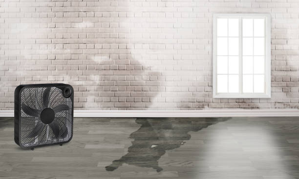 Best Sewage cleanup and water damage restoration  in Lake Marcel Stillter, WA