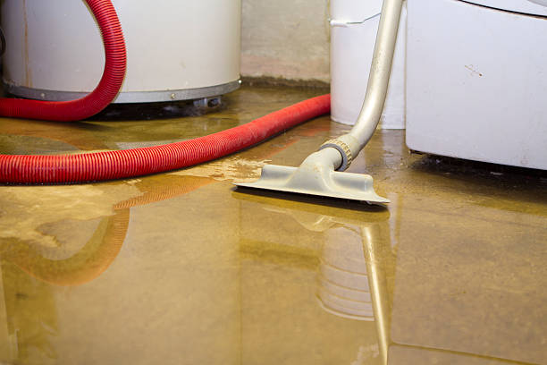 Best Water damage cleanup near me  in Lake Marcel Stillter, WA
