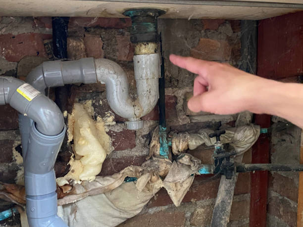 Best Water damage restoration near me  in Lake Marcel Stillter, WA