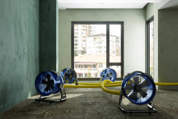 Best Residential water damage restoration  in Lake Marcel Stillter, WA