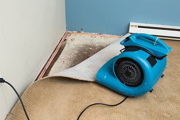  Lake Marcel Stillter, WA Water damage restoration Pros